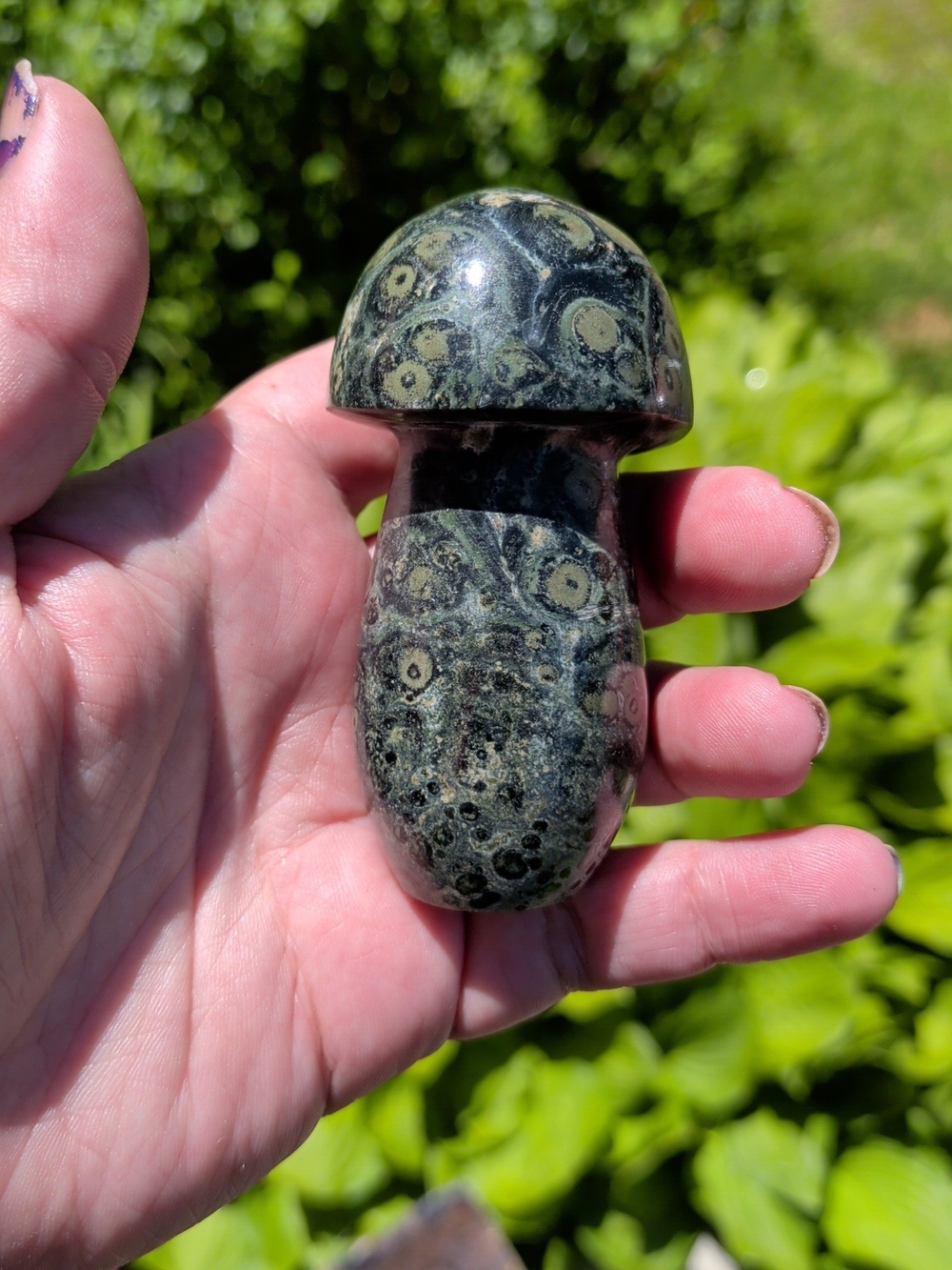 Kambaba Jasper Mushroom